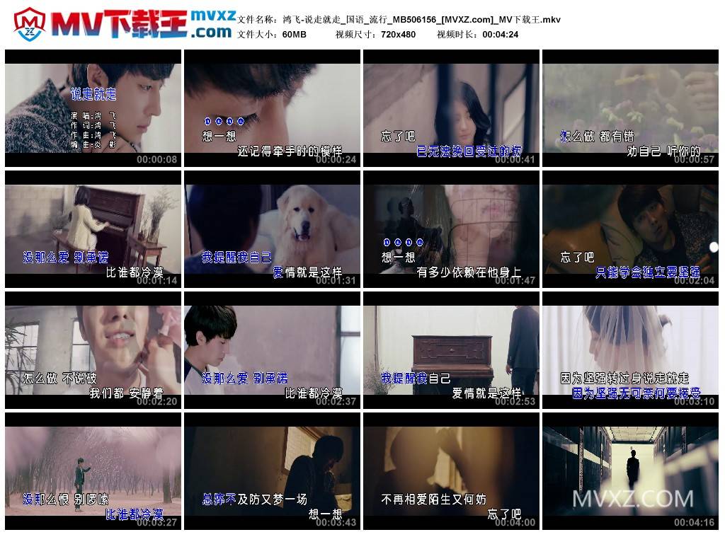 鸿飞-说走就走_国语_流行_MB506156